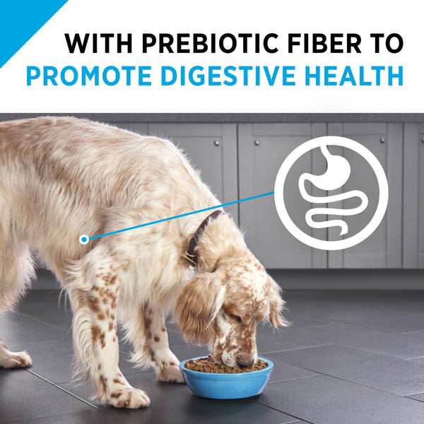 Purina Pro Plan Sensitive Skin & Stomach Formula Salmon & Rice Formula Dry Dog Food
