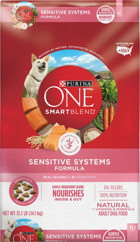 Purina ONE +Plus Skin & Coat Formula Dry Dog Food