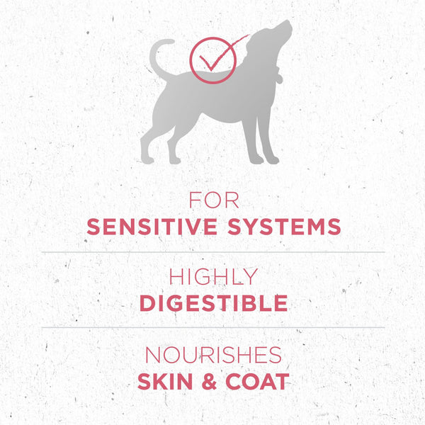 Purina ONE +Plus Skin & Coat Formula Dry Dog Food