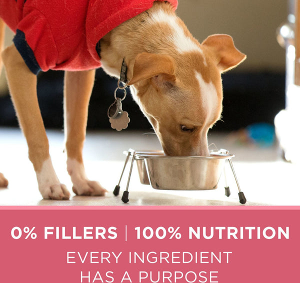 Purina ONE +Plus Skin & Coat Formula Dry Dog Food