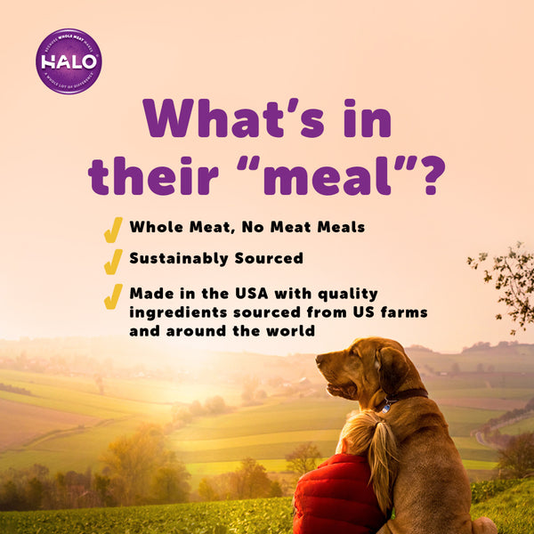Halo Senior Chicken Recipe Canned Dog Food