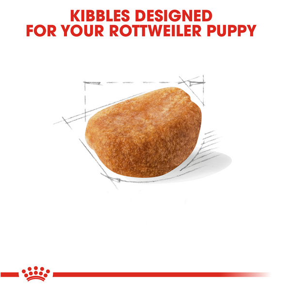 Royal Canin Breed Health Nutrition Rottweiler Puppy Recipe Dry Dog Food