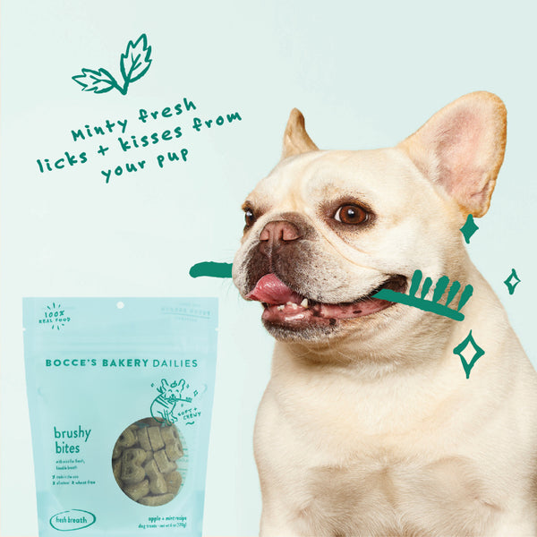 Bocce's Bakery Brushy Bites Soft & Chewy Dog Treats
