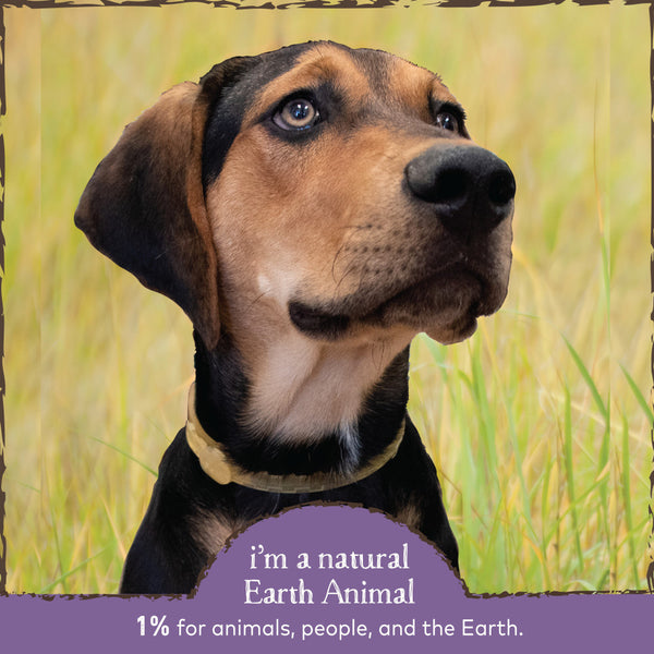 Earth Animal Nature's Protection Flea & Tick Prevention Herbal Collar for Large Dogs