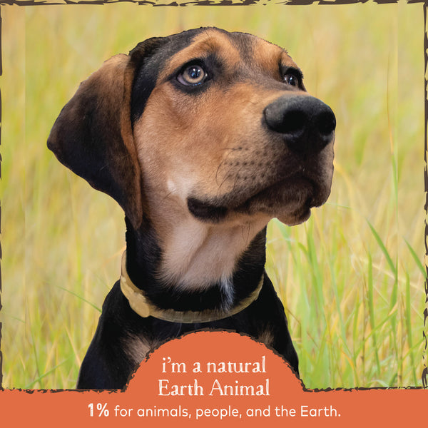 Earth Animal Nature's Protection Flea & Tick Prevention Herbal Shampoo for Dogs